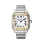 SEIKOS (TWO TONE)